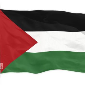 Palestine Palestinian Flag | 3x5 Ft | LiteWeave Pro Series Printed 150D Polyester | Country Flag Indoor Outdoor Vibrant Colors Brass Grommets Thicker and More Durable Than 100D 75D Polyester