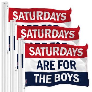 Boys Saturday Fun Flag 3x5 Ft 3-Pack Printed 150D Polyester By G128