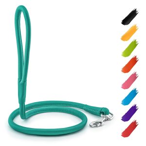 Rolled Leather Dog Leash 4Ft * 0.4 in for Small Medium and Large Dogs   Heavy Duty Leather Puppy Leash for Outdoor Walking Running Training   Strong Dog Leashes for Large Breed Dogs (Mint)